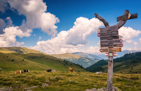 AdobeStock_242168499-1.png adobestock_242168499.png